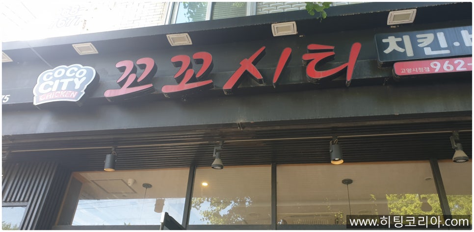 꼬꼬시티고양 이미지