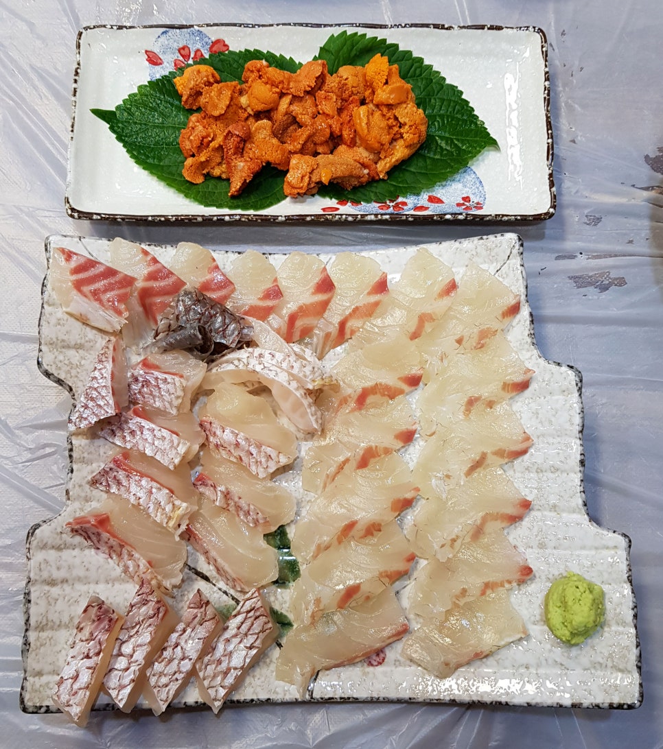 남해바다마차 이미지