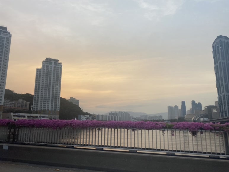 태창상회 이미지