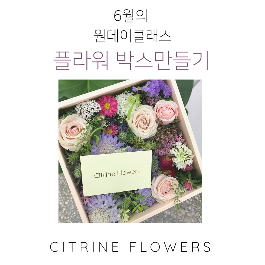시트린플라워스 이미지