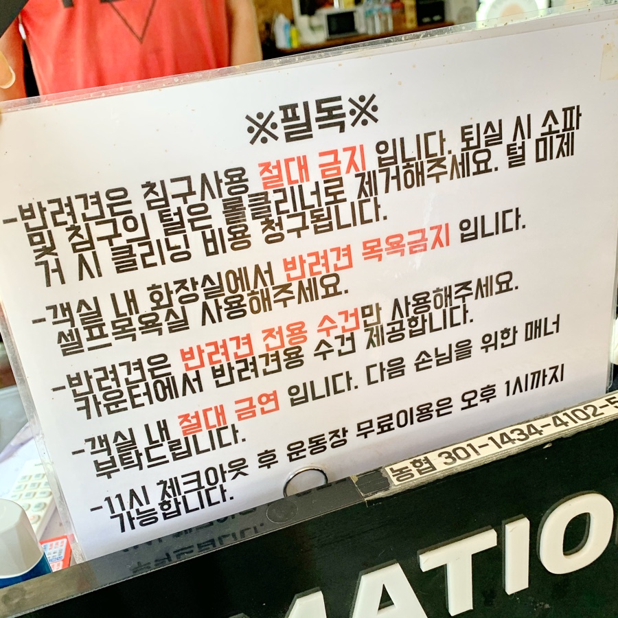 버디카페테리아 이미지