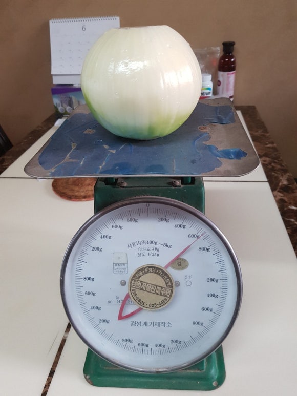 동서로마트 이미지