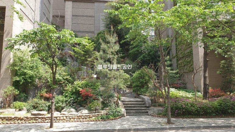 (주)푸른숲조경 이미지