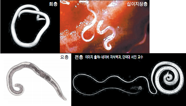 용봉원 이미지