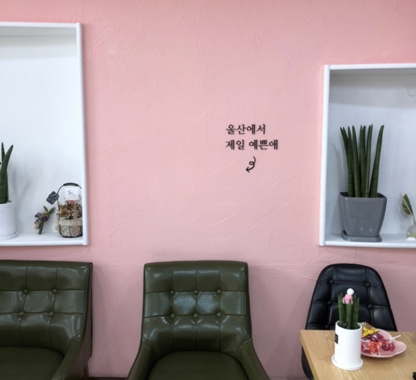 살롱하임 이미지