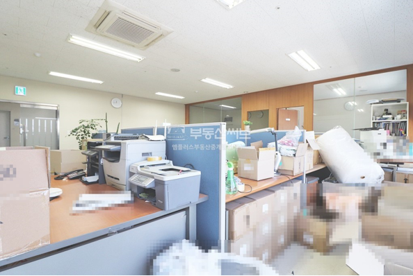 케이엔케이 이미지