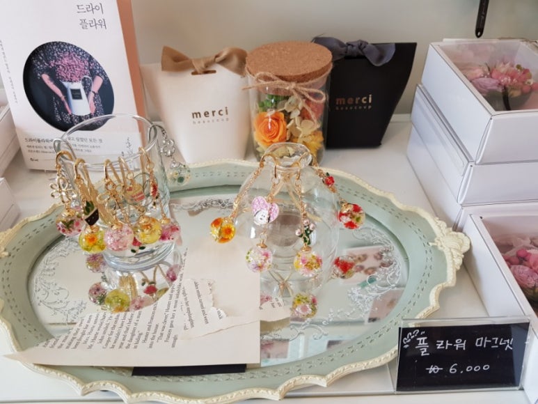 플로마리 이미지