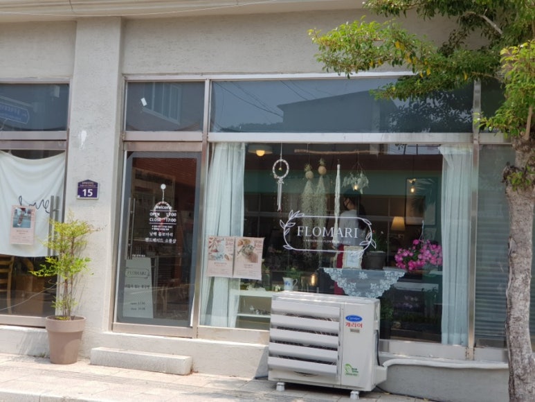 플로마리 이미지