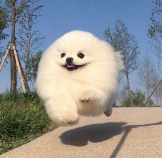 파람 이미지