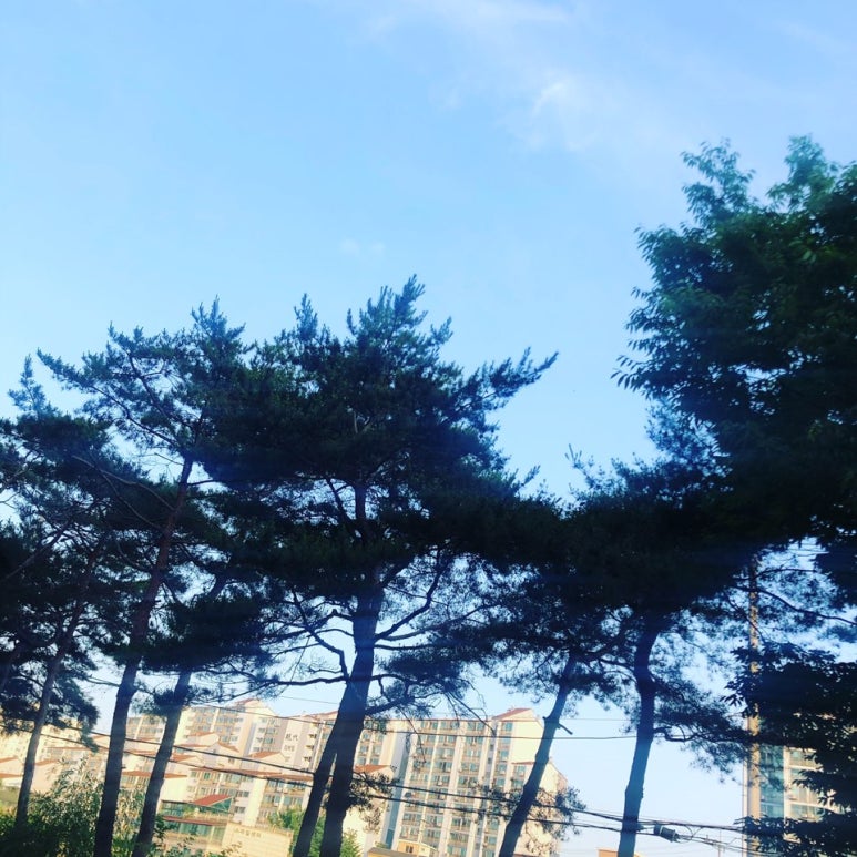 착오비 이미지