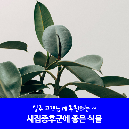 미지트가구 이미지
