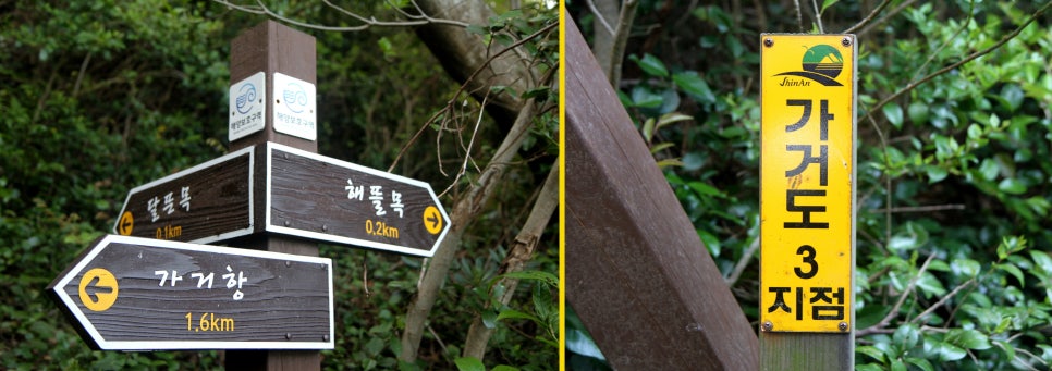 해뜰목 이미지