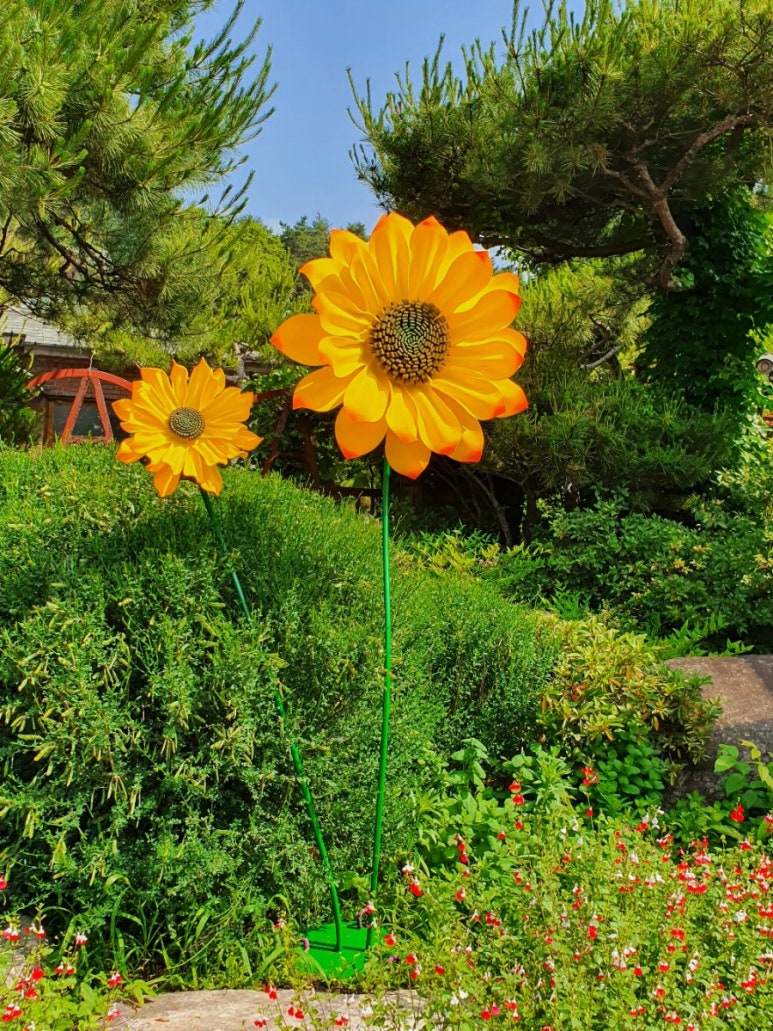 사임당커피숍 이미지