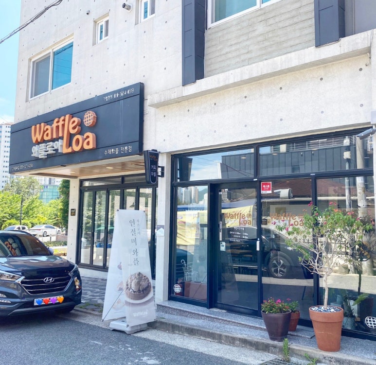와플로아(Waffle loa) 이미지
