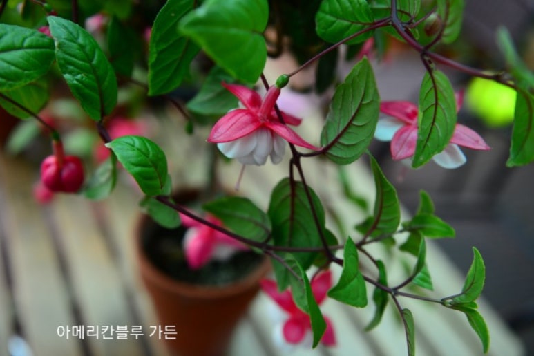 스윙타임 이미지