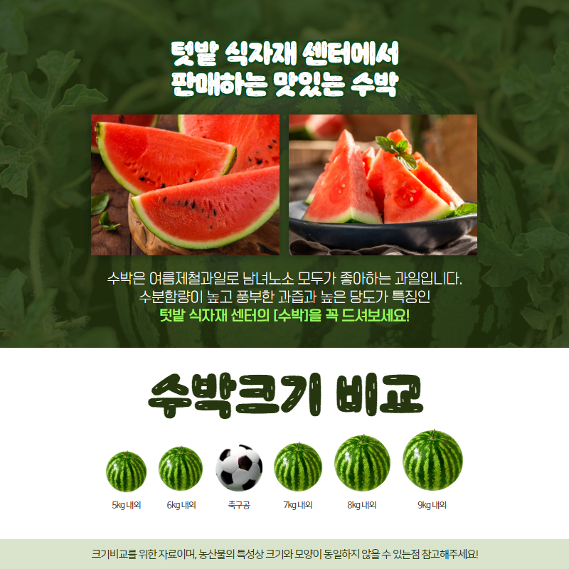 알식자재센터 이미지