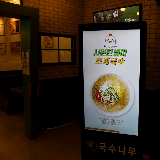 국수나무유성 이미지