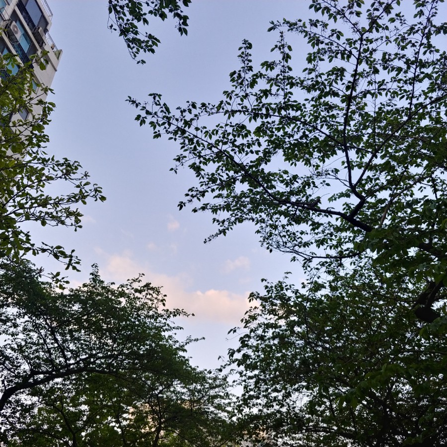 방배 왕십리 중앙곱창 이미지