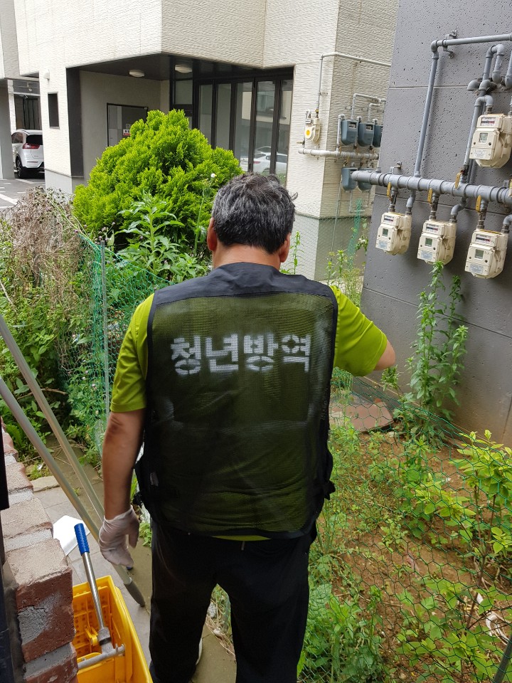 참죽&반죽 이미지