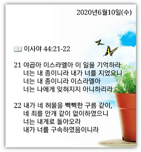소소한일상 이미지