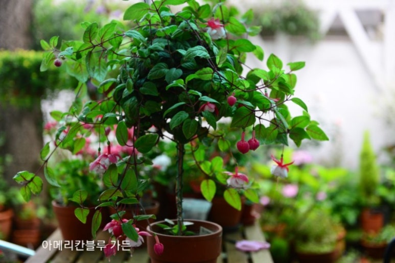 스윙타임 이미지
