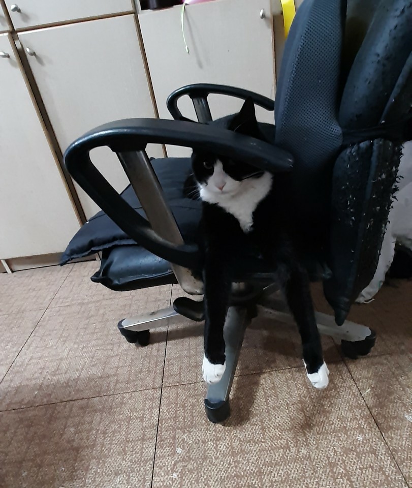 온누리꽃집 이미지