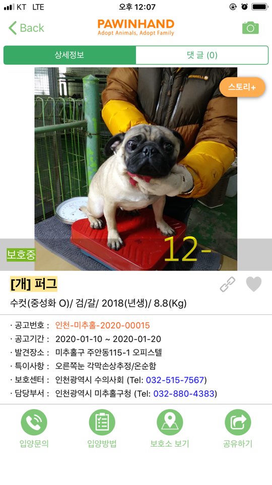 피터팬하우스 이미지