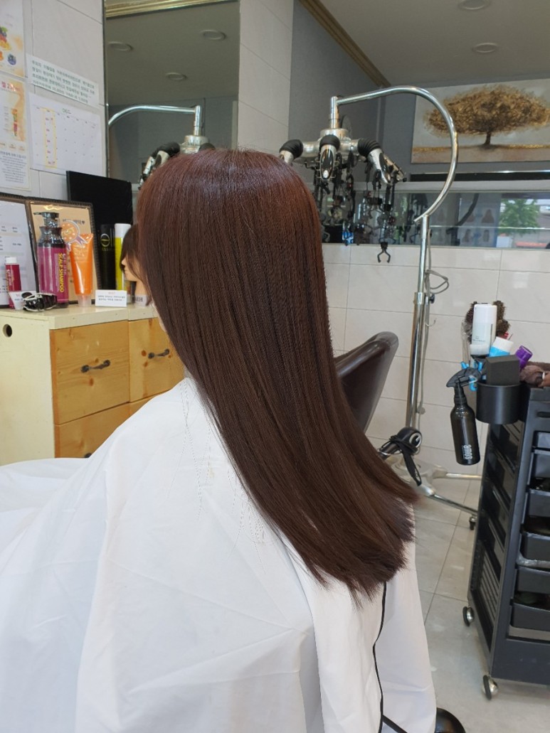 네바에 이미지