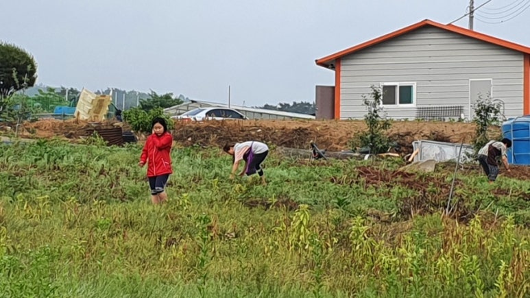 삼바라기농장 이미지