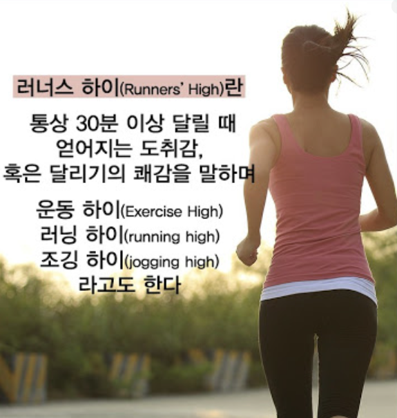 러너스 하이 이미지