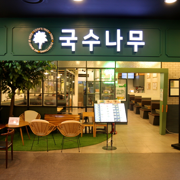 국수나무유성 이미지