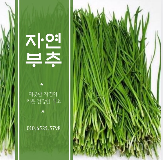자연건강원 이미지