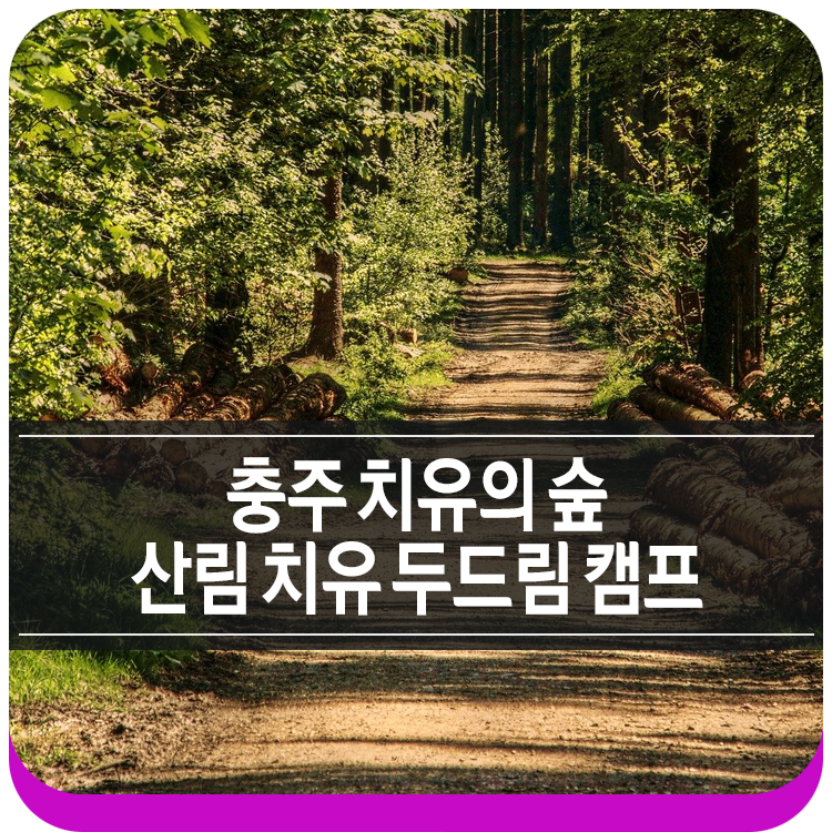 계명산 치유의 숲 이미지