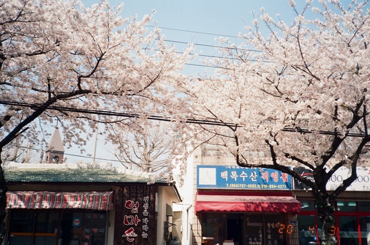참좋은이용원 이미지