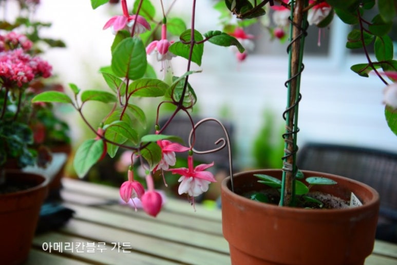 스윙타임 이미지