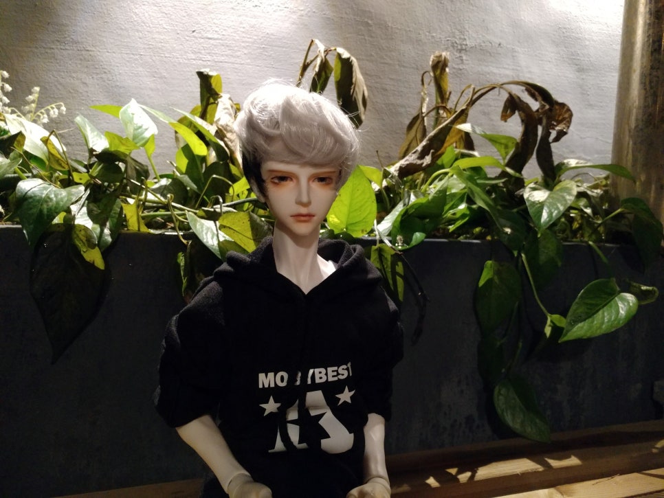 아이오에스 이미지