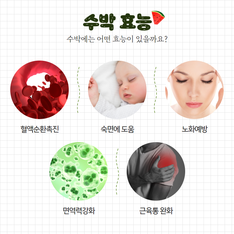 알식자재센터 이미지