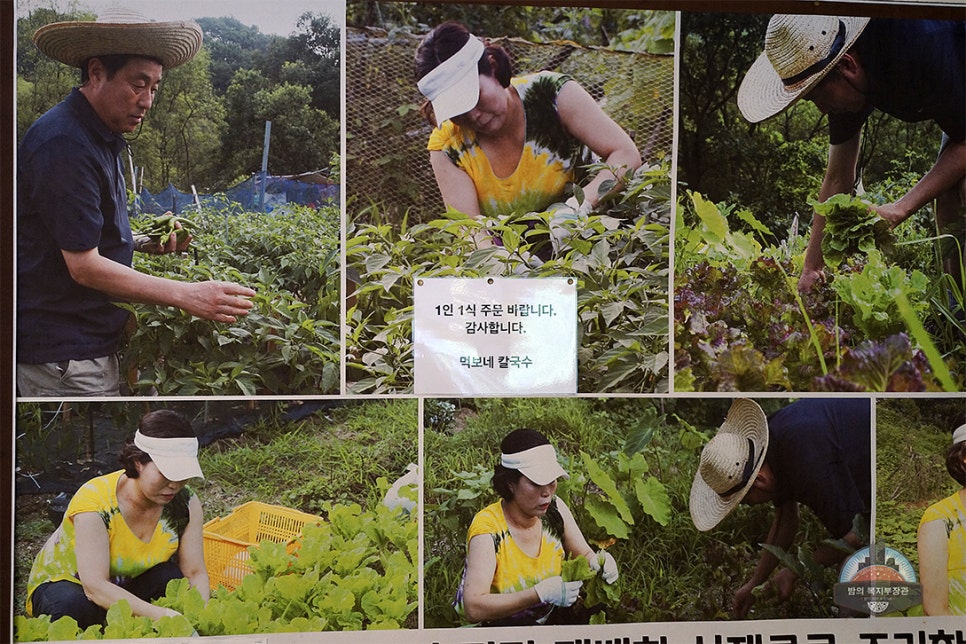먹보칼국수 이미지