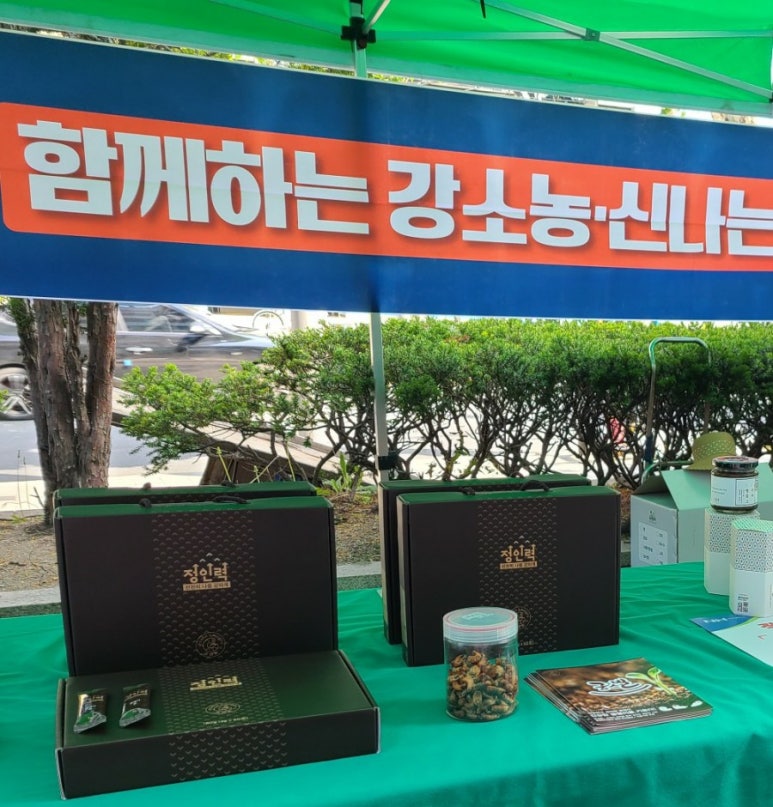 정인력 이미지