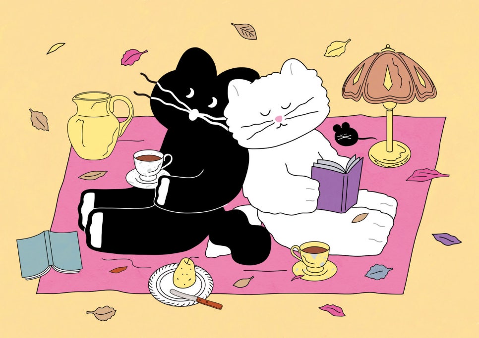케이비젼 이미지