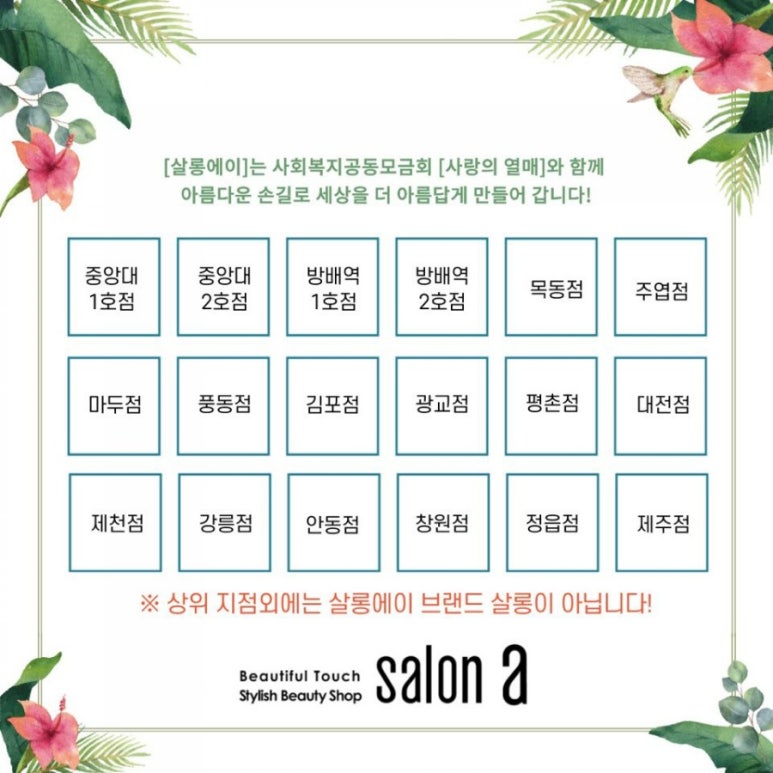 살롱에이 이미지