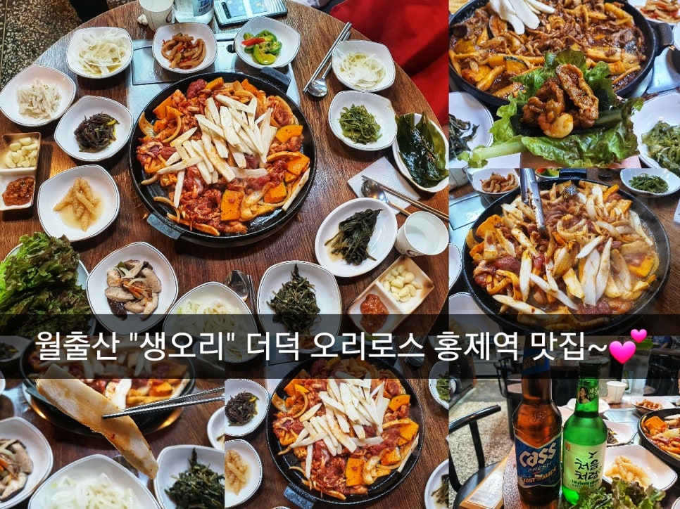 월출산생오리 이미지