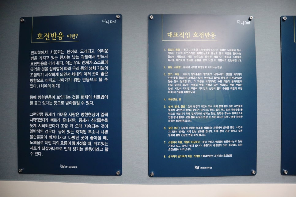 디니힐링시스템 이미지