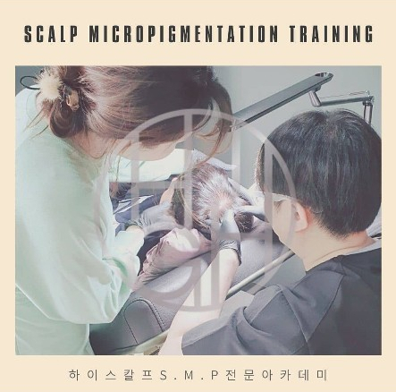 하이스칼프 이미지