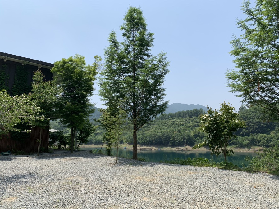 충주카누캠핑장 이미지