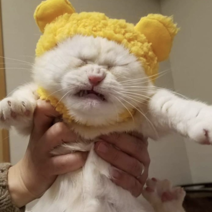카밀로라자네리아 이미지