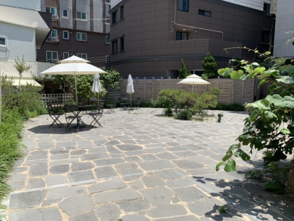 플레지르 이미지
