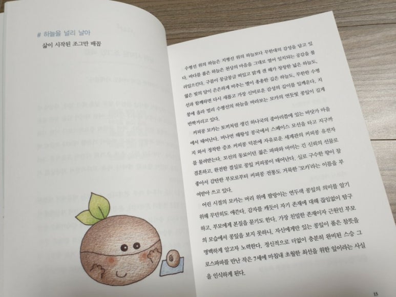 이티콩 이미지