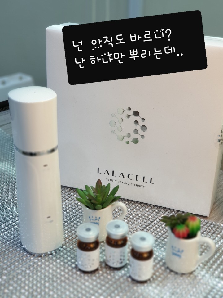 라셀 이미지