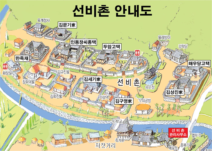 순흥애꽃 이미지